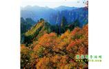 長(zhǎng)沙往返張家界、天子山、寶峰湖/黃龍洞三日游