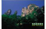 網(wǎng)絡(luò)熱門純玩游：張家界、天子山、袁家界、楊家界 自助三日游