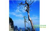 湘西之旅：張家界、天子山、寶峰湖/黃龍洞、鳳凰古城、猛洞河漂流、天門山六日游