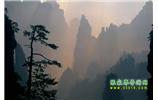 張家界國家森林公園、寶峰湖/黃龍洞、鳳凰古城、三峽八日游